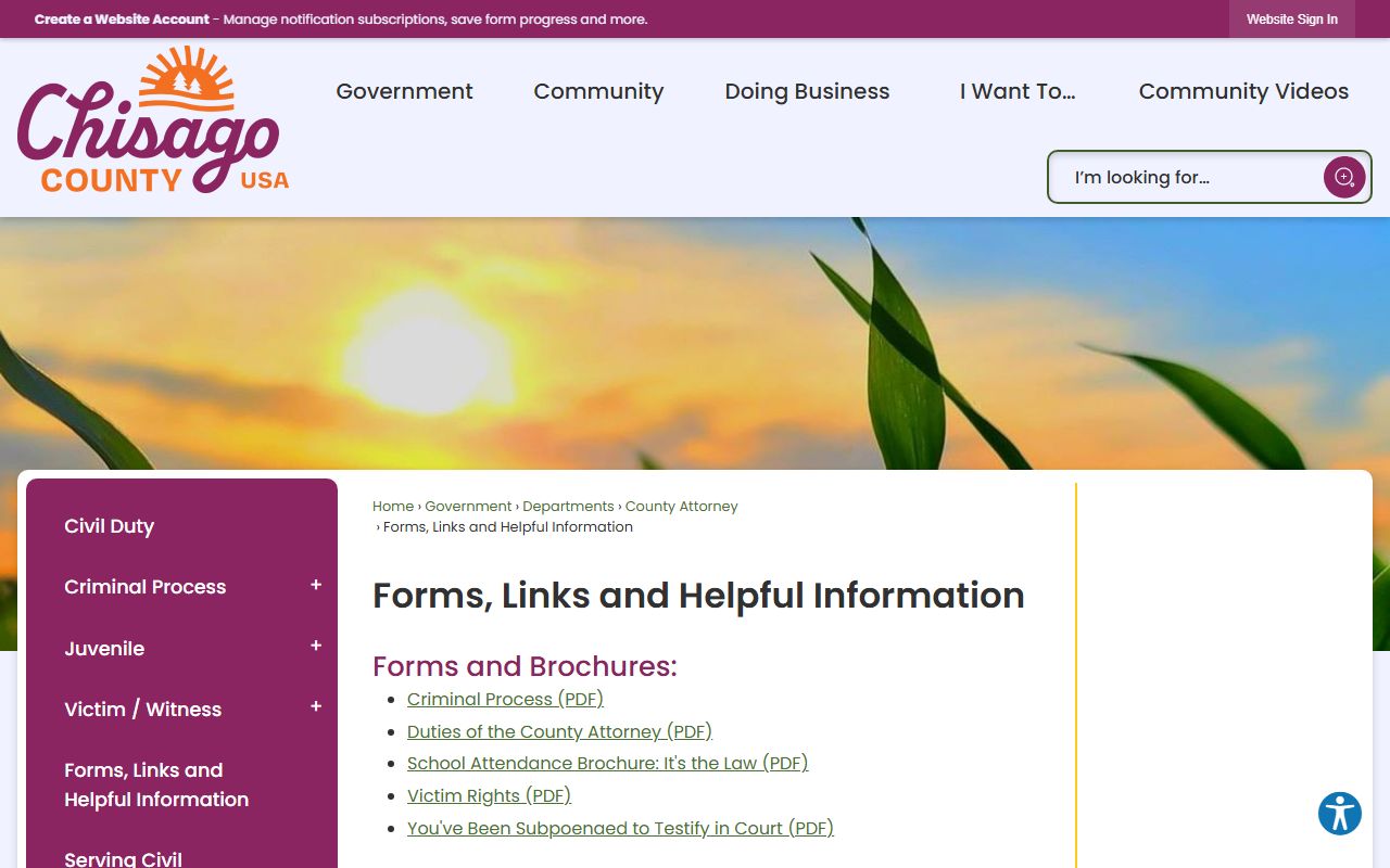 Chisago County Family Court Records - forms and links page